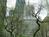 Chicago - The Drake::VirtualTourist