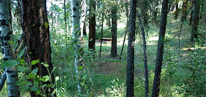Web-howardsgulch-picture