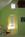 Homestead at Rehoboth Bed and Breakfast::TripAdvisor