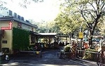 Shady Grove