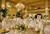Omni Severin Hotel::Expedia
