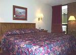 Pear Tree Inn San Antonio Northeast