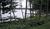 Black Bear Lodge::Priceline.com
