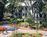 Disney Hilton Head Isl Rst from Expedia