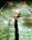 Westward Look Resort::TripAdvisor