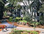 Disney Hilton Head Isl Rst