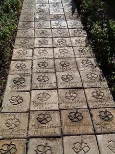Web-3414090-wedding_path-lahaina