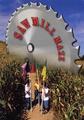 Steam Whistle Corn Maze