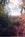Inn at Fox Hill Farm::TripAdvisor