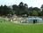 Golden Gate Promenade from Allison_branen