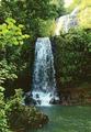 Tn-kalihiwai-falls-hike-kauai-in-kauai-1