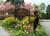 Brampton Inn::BedAndBreakfast.com