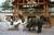 The Village Hotel::ProfessionalTravelGuide.com