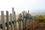 Tn-55856120_3b07aabad8_m
