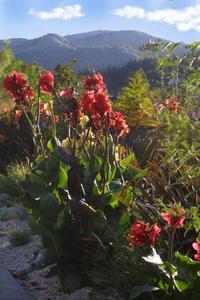 Arden Forest Inn::BedAndBreakfast.com