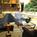 Doubletree Hotel Oak Ridge::Priceline.com