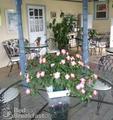 Miss Molly's Inn