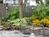 Rugby Gardens::BedAndBreakfast.com