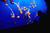 Monterey Bay Aquarium::Yahoo! Travel