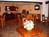 Best Western Alpine Classic Inn::ProfessionalTravelGuide.com
