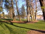 Green Lake Park::Yahoo! Travel