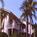 The Colony Beach and Tennis Resort::Orbitz