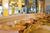 Hilton Alexandria Mark Center::Expedia