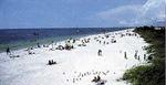 Tn-11151-beach-1