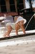 Tn-phx_somt-poolo-3