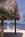 Gulf View Waterfront Resort::TripAdvisor