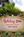 Holiday Inn Sunspree Resort Fort Walton Beach::Orbitz