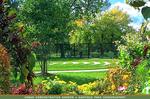 Garfield Park Conservatory