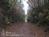 Lake Allatoona Inn::BedAndBreakfast.com