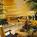 Marriott Anaheim Suites::AnaheimOC.org