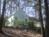 COZY TREETOP COTTAGE LOCATED 5 MILES FROM CASHIERS & HIGHLANDS! from PetFriendly.com
