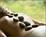 Honua Spa from Qingd