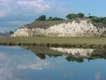 Upper Newport Bay Ecological Reserve & Preserve