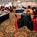 Hickory Ridge Marriott Conference Center::Travelocity.com
