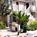 Residence Inn by Marriott San Diego Central from Expedia