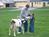 Rocky Acre Farm Bed and Breakfast::TripAdvisor