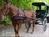 Triple T Bed & Breakfast::BedAndBreakfast.com