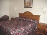 Red Roof Inn & Suites Ocala