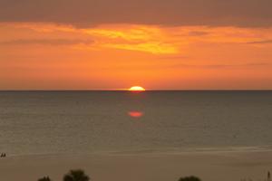Web-14746-eview-1