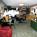 Budget Host Alpine Motor Lodge::ProfessionalTravelGuide.com