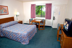Web-room0-20060404-091846-953