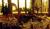 Trapp Family Lodge::ProfessionalTravelGuide.com