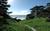 NINE OCEANFRONT PET FRIENDLY COTTAGES!::PetFriendly.com