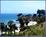Best Western Beachside Inn::PetFriendly.com