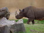 Caldwell Zoo