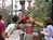 Busch Gardens Williamsburg::ThrillNetwork.com